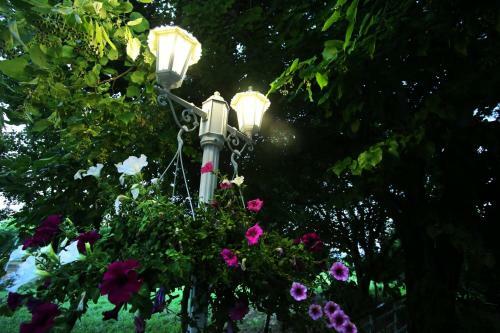 Olympia's Country Home