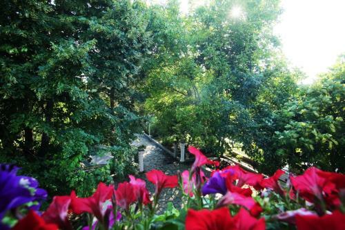 Olympia's Country Home