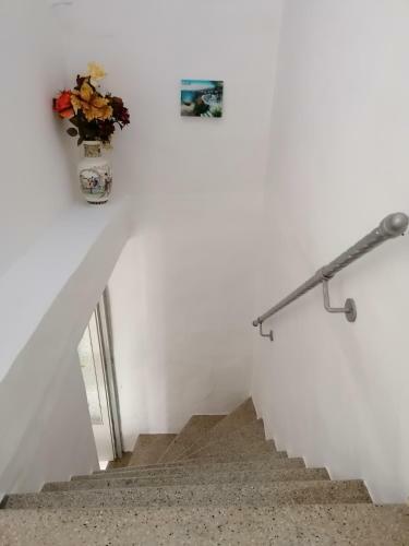 Casa Vacanze Anton House