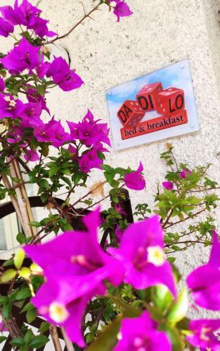 Apartamento Dadil� - Casa Vacanza & Bed And Breakfast