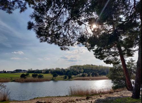 Apartamento Miodowy Domek Beenjoy