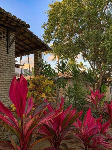 Hostal Chal�s Porto Do Sol