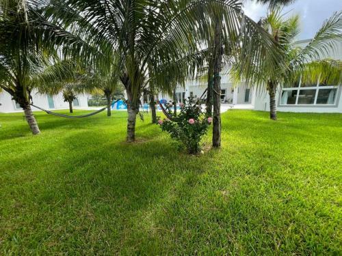 Villa ??? The White House In Miami ??? 1.15acre 4600 Sqft