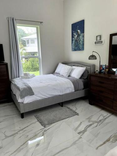 Villa ??? The White House In Miami ??? 1.15acre 4600 Sqft