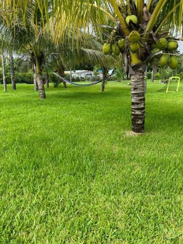 Villa ??? The White House In Miami ??? 1.15acre 4600 Sqft
