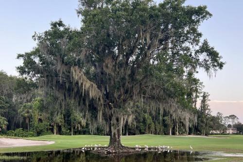 Saddlebrook Lakeside Village Retreat