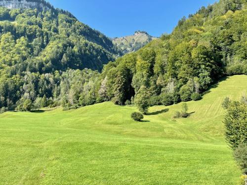Wasserfall Apartment Waldblick