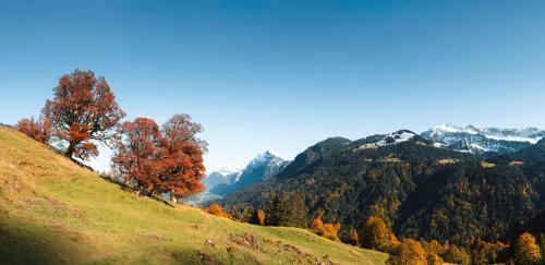 Wasserfall Apartment Waldblick
