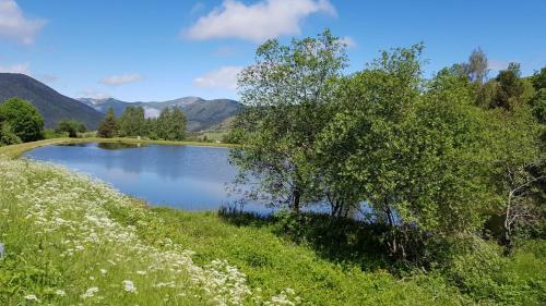 Mobil-home En Pleine Nature