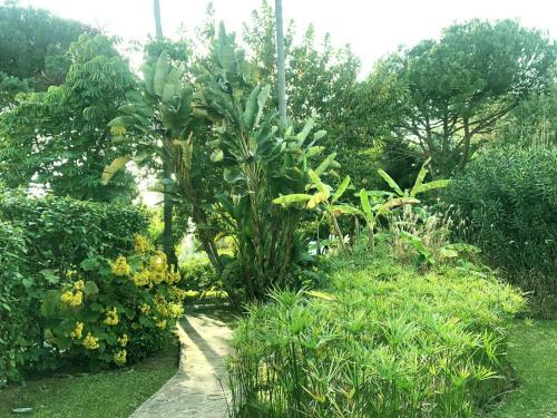 Apartamento Beautiful, Bright And Spacious Duplex In Marbella