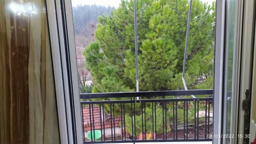 Apartamento Anesis Home.