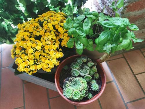 Agroturismo La Casa Verde