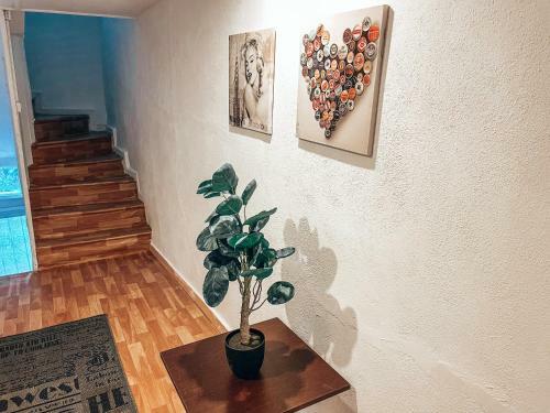 Apartamento Traditional House Old Town