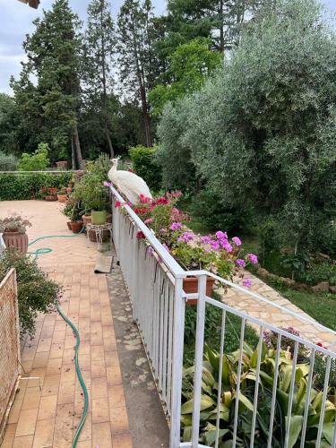 La Casa Dei Fiori