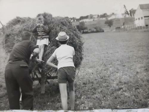 Analogic Tour - Il Piccolo Casale 1950