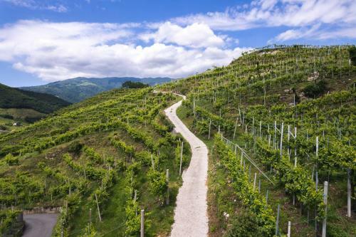 Agroturismo Al Tiglio