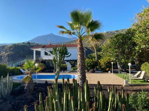 Balc�n Del Teide