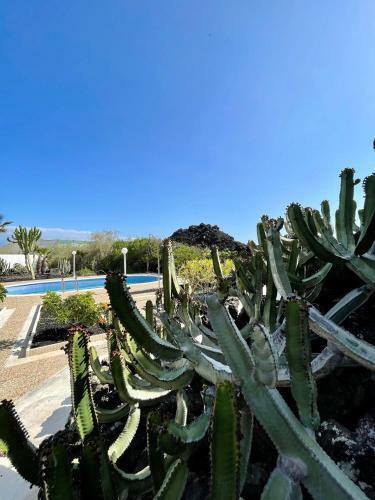 Balc�n Del Teide