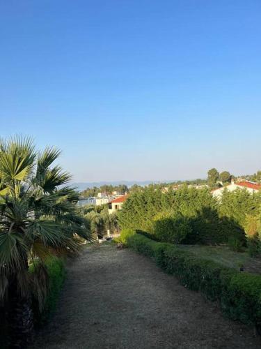 Villa Vero Resort Pevcoxori 2