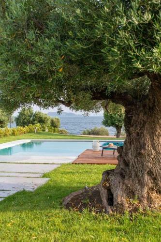 Villa Luria Seascape