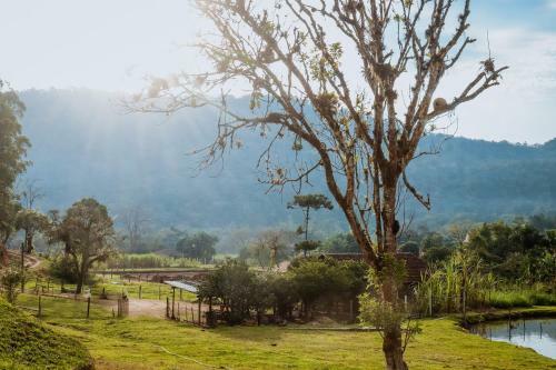 Chacara C Lazer E Contato Com A Natureza Timbo Sc