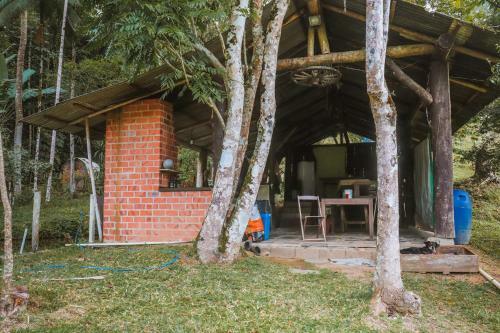 Chacara C Lazer E Contato Com A Natureza Timbo Sc