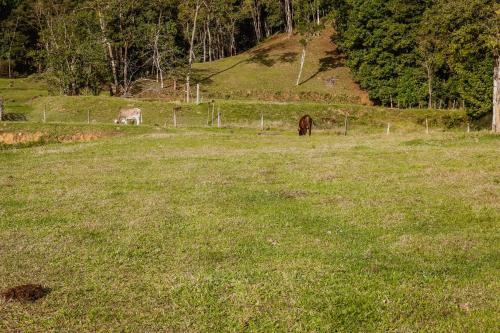Chacara C Lazer E Contato Com A Natureza Timbo Sc
