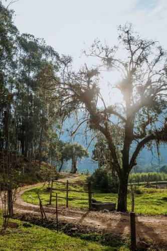 Chacara C Lazer E Contato Com A Natureza Timbo Sc