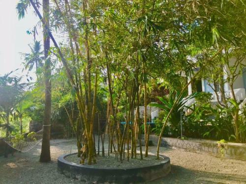 Hostal Petit Ana Beach Retreat