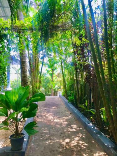Hostal Petit Ana Beach Retreat