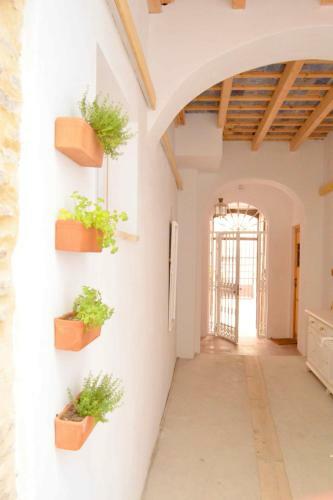 Apartamento Duplex En Casa Milagro Centro Hist�rico