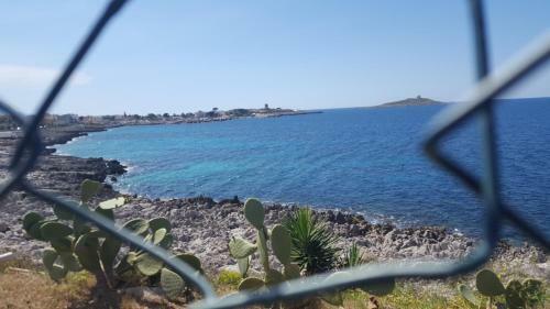 Brezza Marina