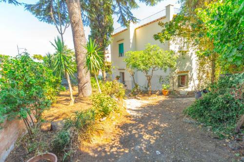 Apartamento Villetta Indipendente Con Terrazza