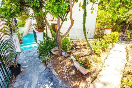 Apartamento Villetta Indipendente Con Terrazza