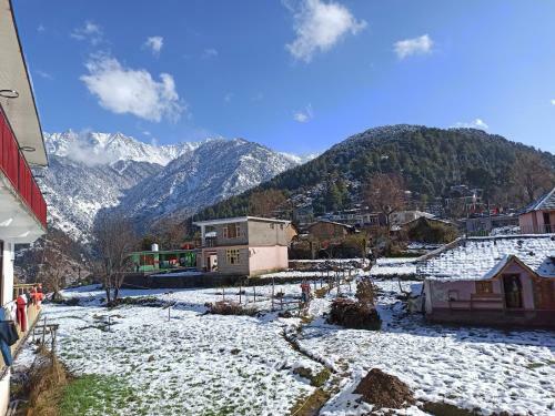 Bed & Breakfast The Mountain View Homestay