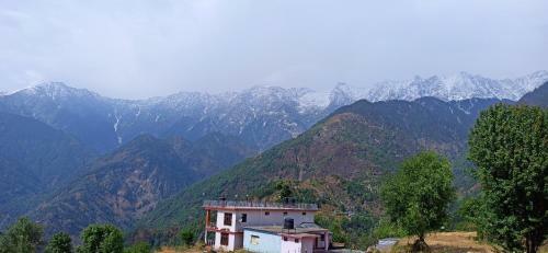 Bed & Breakfast The Mountain View Homestay