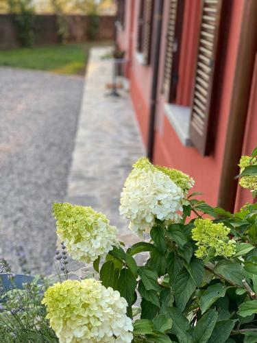 Il Mallo Verde - Lake Como B&B