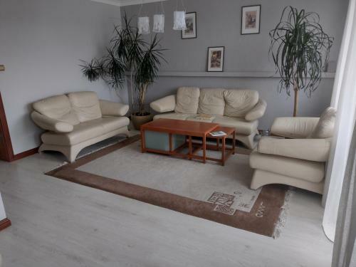 Apartament Niemierzyn