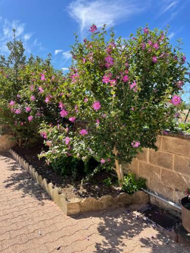 G�te Les 3 Eucalyptus