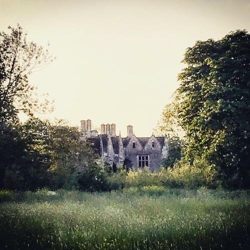 The Wilde