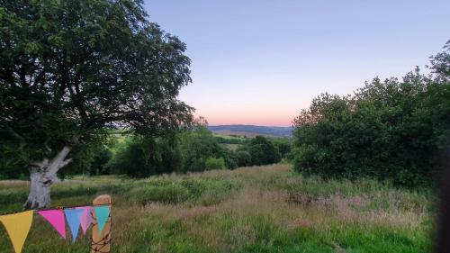 Calon Y Goedwig Glamping