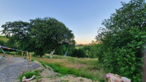 Calon Y Goedwig Glamping