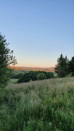 Calon Y Goedwig Glamping