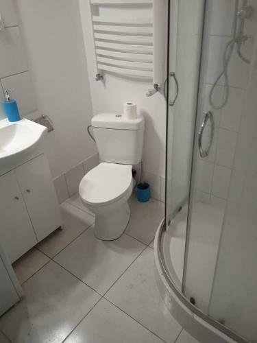 Apartament Z?bkowice ?l?skie