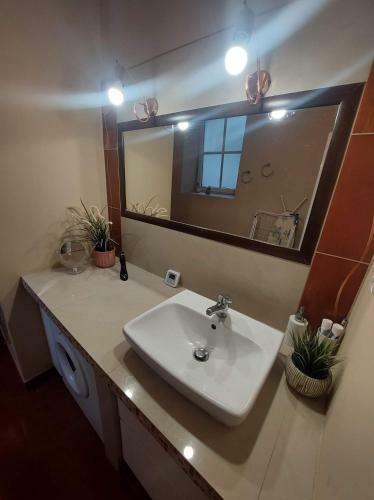 Apartament Z?bkowice ?l?skie