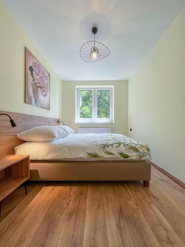 Apartament Ptasi ?piew