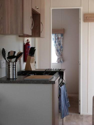 Luxury Park Holiday Home (4)
