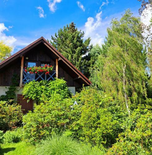 Apartament Dro?dzik�wka