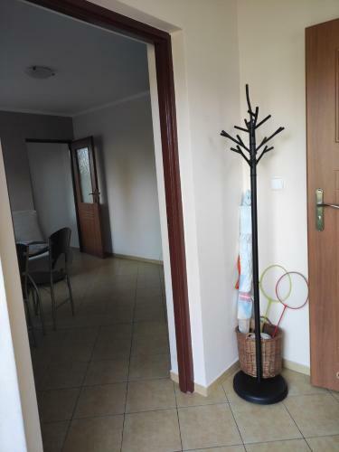 Apartamento Domek Pod Brzozami