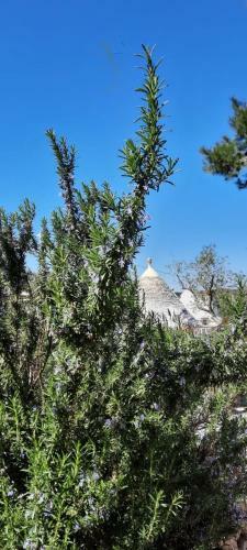 Trullo Pietrapoesia